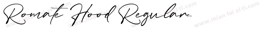Romate Hood Regular字体转换